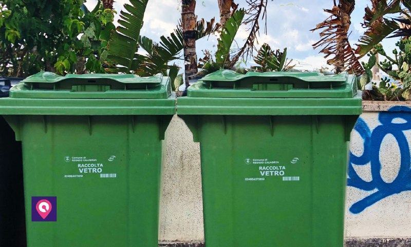 Dove lo butto? – Raccolta differenziata, ecco cosa mettere nel contenitore verde