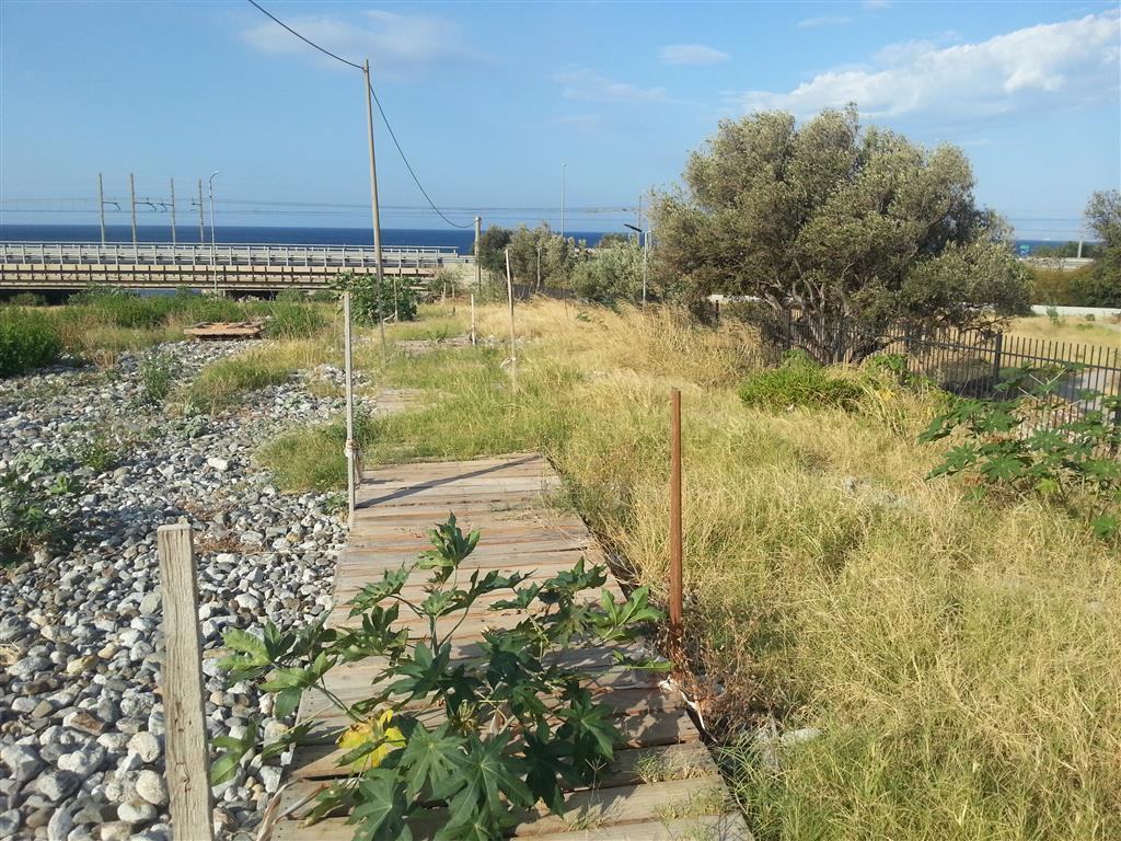 Nella terra di nessuno: sempre più abbandonati i beni culturali a Lazzaro