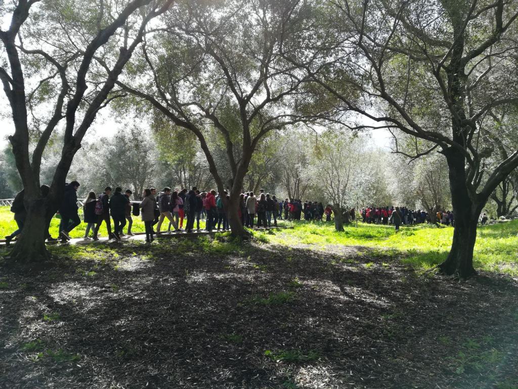 Reggio, l’UGL per un contratto vero e trasparente che guardi al futuro del settore forestale