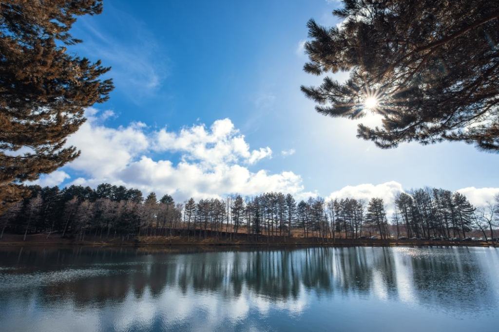 Al Castello Aragonese la mostra fotografica “I colori dell’Aspromonte”