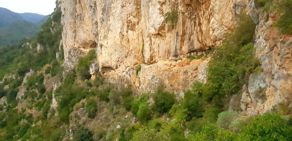 Reggio, incontri di natura: “Ritorna il Capriolo in Aspromonte”