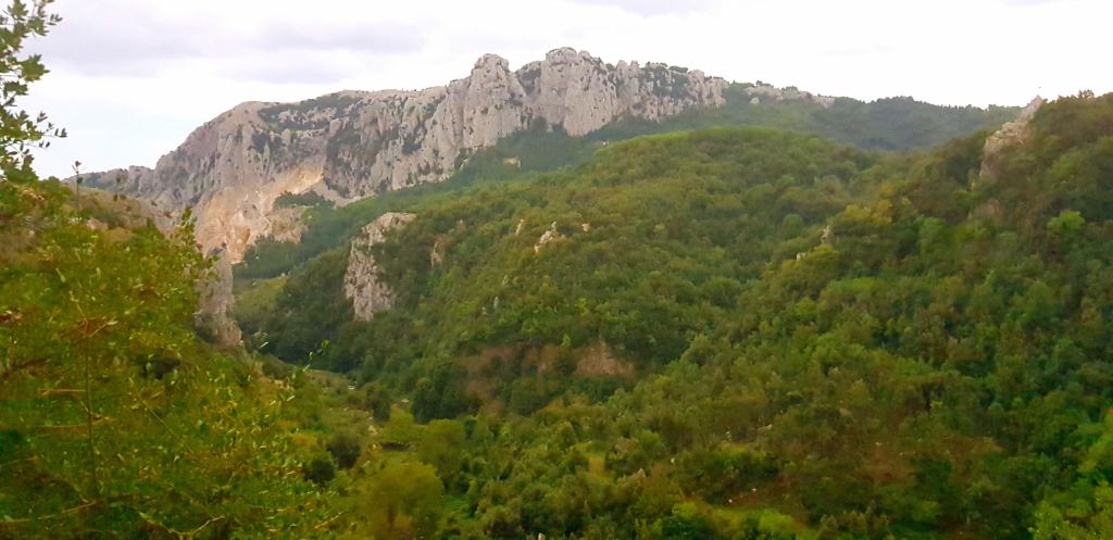 Si conclude il monitoraggio dei migratori sull’Aspromonte