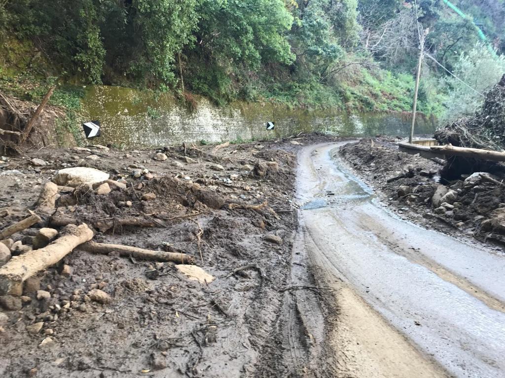 Maltempo in provincia di Reggio, il Parco Aspromonte offre il proprio supporto