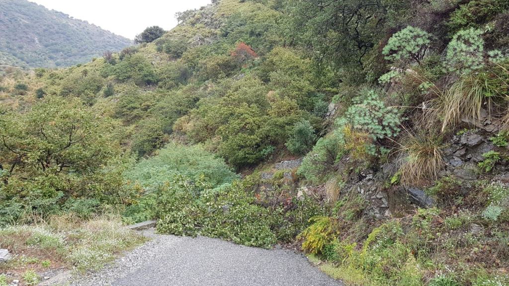 Motta San Giovanni, interrotta strada Valanidi – Allai