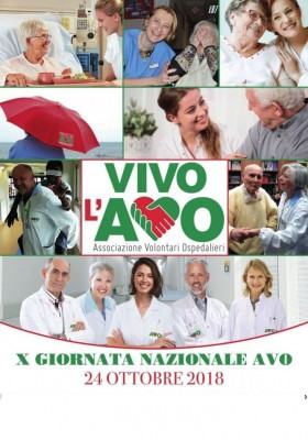 Decima Giornata Nazionale Avo