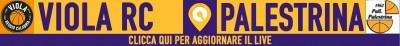 GRAFICA LIVE 2 VIOLA