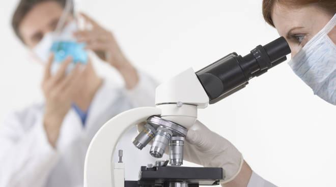 Cellule staminali, importante scoperta nei laboratori calabresi