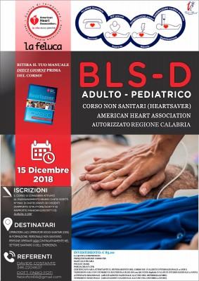 Locandina BLSD