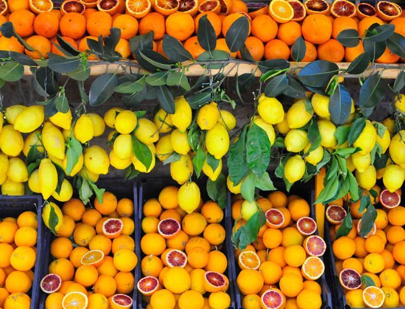 Gli agrumi calabresi spopolano nei mercati di Campagna Amica del nord Italia