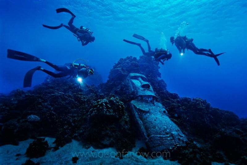 bluocean (10)