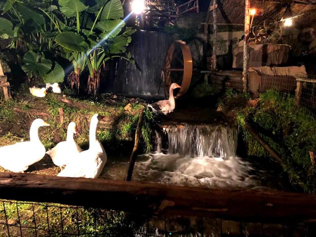 San Roberto da record: grande successo per Presepe Vivente e Notte delle Lanterne – FOTO