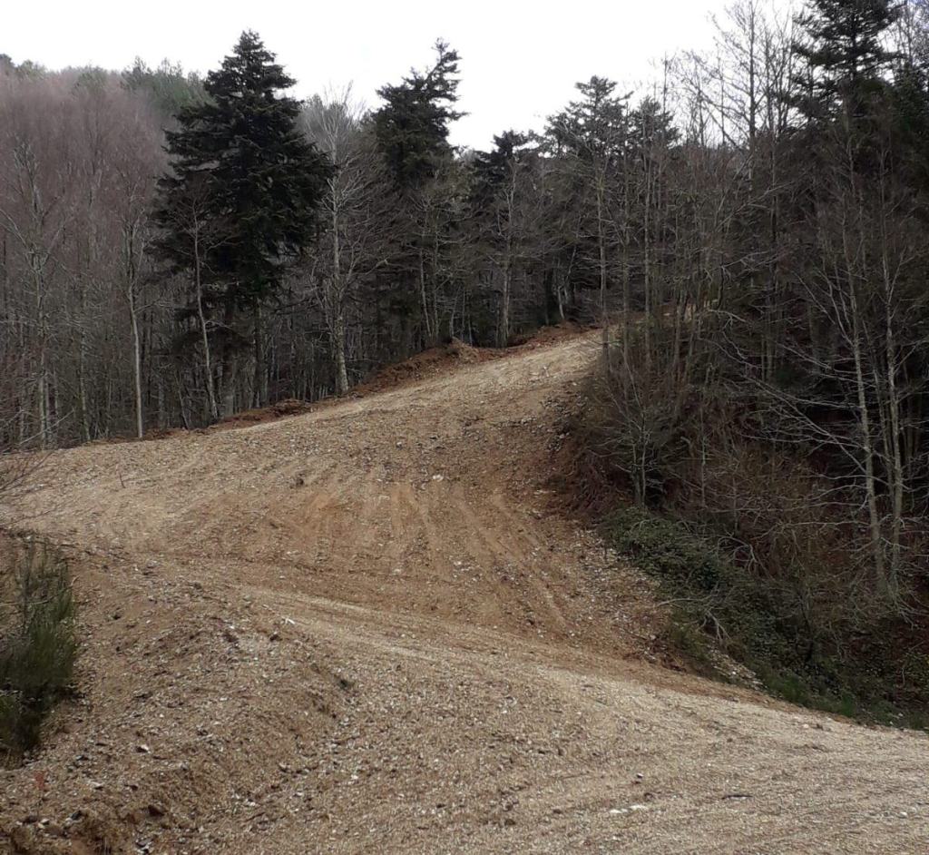 Il grande appuntamento con il Campionato Italiano di Tiro con l’Arco in Aspromonte