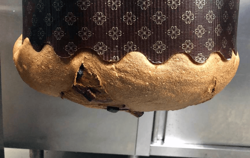 Alla Cremeria Sottozero arriva il “Maxi Panettone”, il dolce per i più golosi