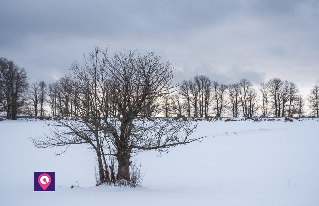 Meteo – Prima neve sulle montagne calabresi