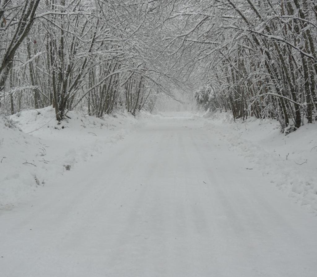 Freddo e neve, Città Metropolitana: “Obbligo di catene sopra i 700 metri”