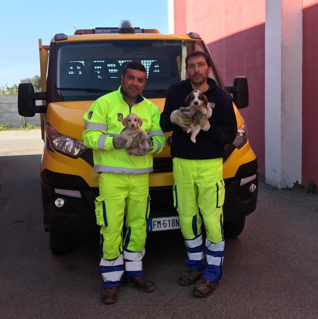 Anas, cantonieri salvano cuccioli di cane sulla Statale 682 “Jonio – Tirreno” – FOTO