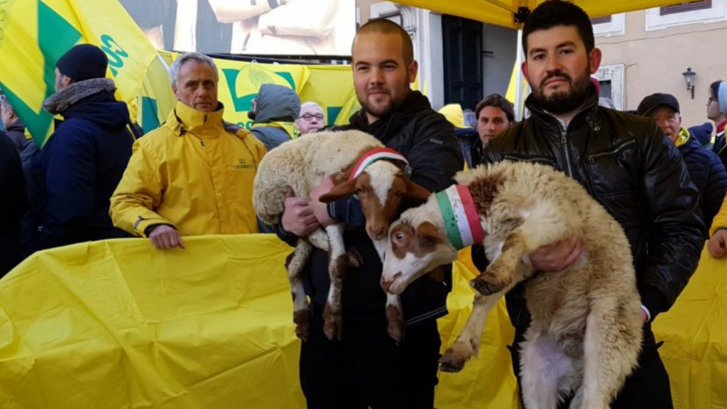 Sos pastori, a Reggio Calabria arriva il primo Pecorino Day