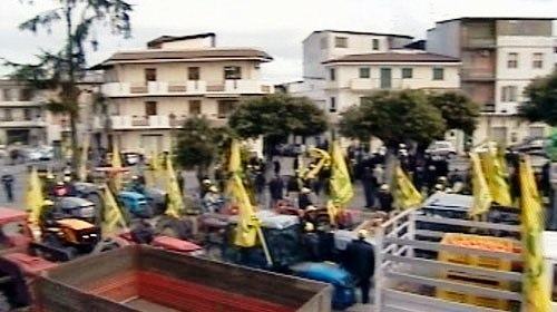 Rosarno, continua la mobilitazione Coldiretti agrumicoltura