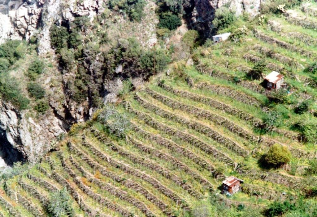 Premio Nazionale del Paesaggio, protagonista la Costa Viola reggina
