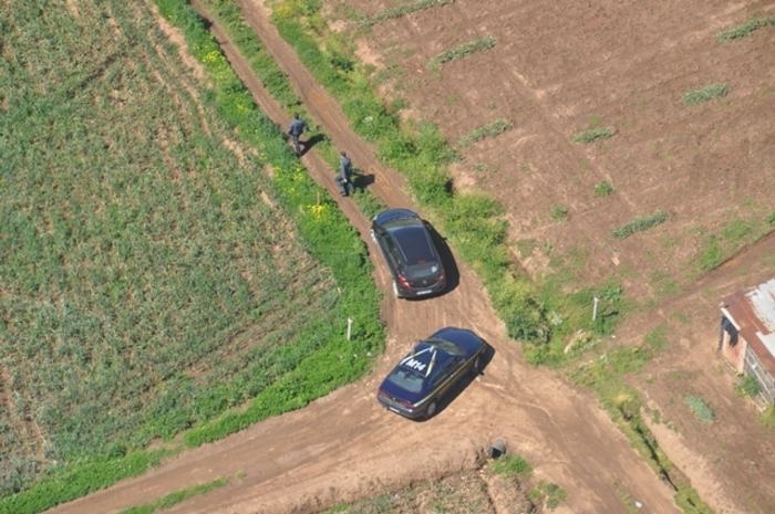 Scoperti mille falsi braccianti agricoli in provincia di Reggio Calabria
