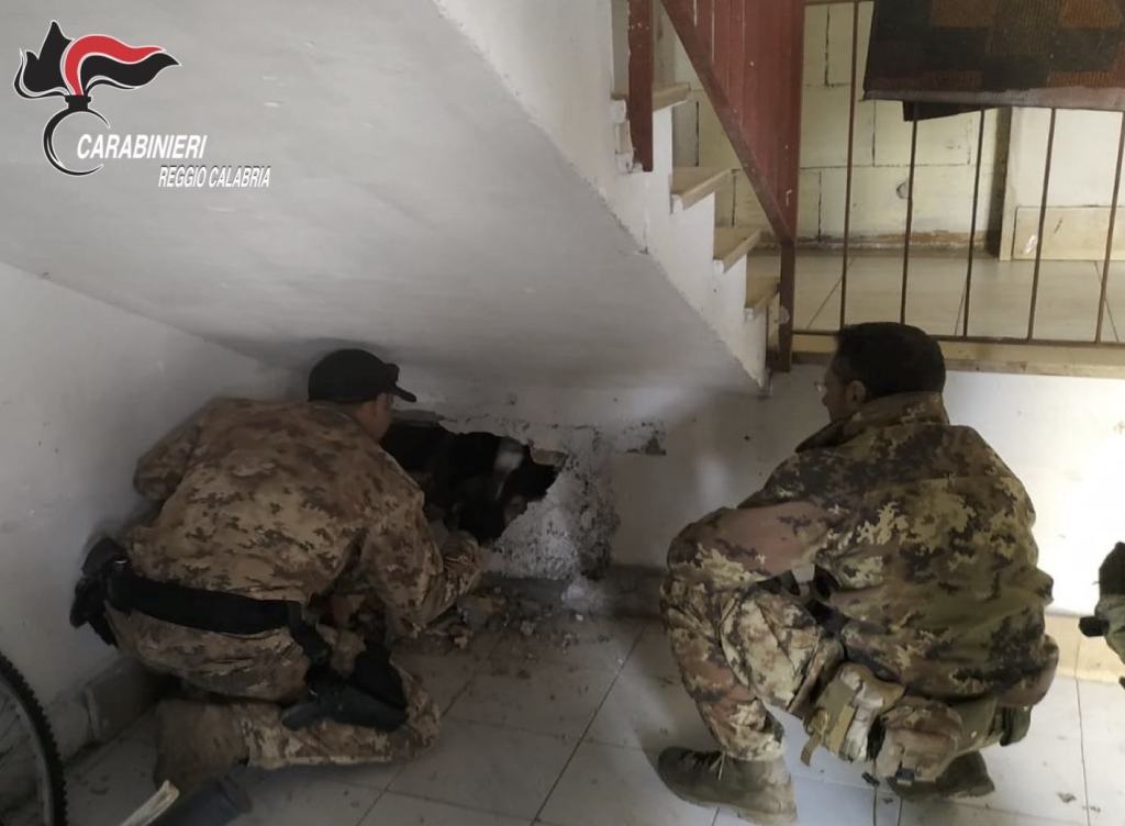 Controllo del territorio: perquisizioni, sanzioni e arresti in provincia di Reggio – FOTO