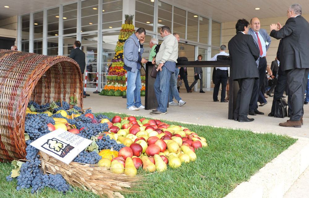 La Calabria investe sulla frutta. Dal Psr 12 milioni per nuovi impianti