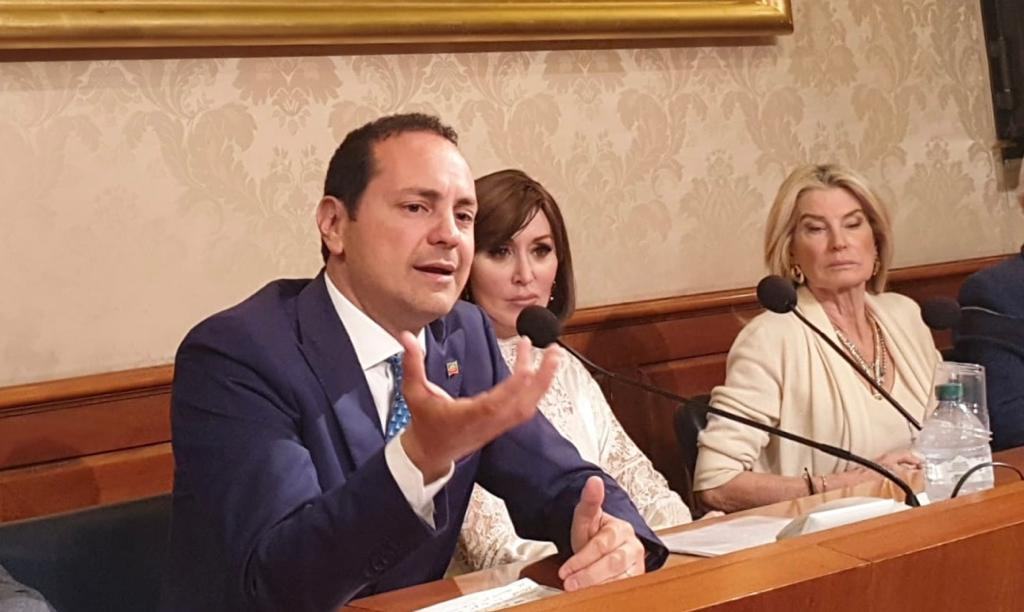 Decreto Calabria, Siclari (FI): “Approvato emendamento a favore dell’assistenza sanitaria”