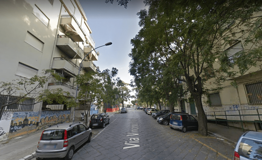 Reggio Calabria, addio ai sontuosi alberi di Via Florio