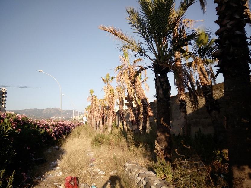 Reggio – Area verde del Calopinace, la denuncia di un cittadino – FOTO