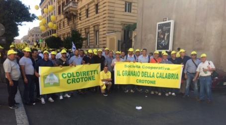 Calabria, Coldiretti: trebbiatura del grano al via in una stagione  tra luci e ombre