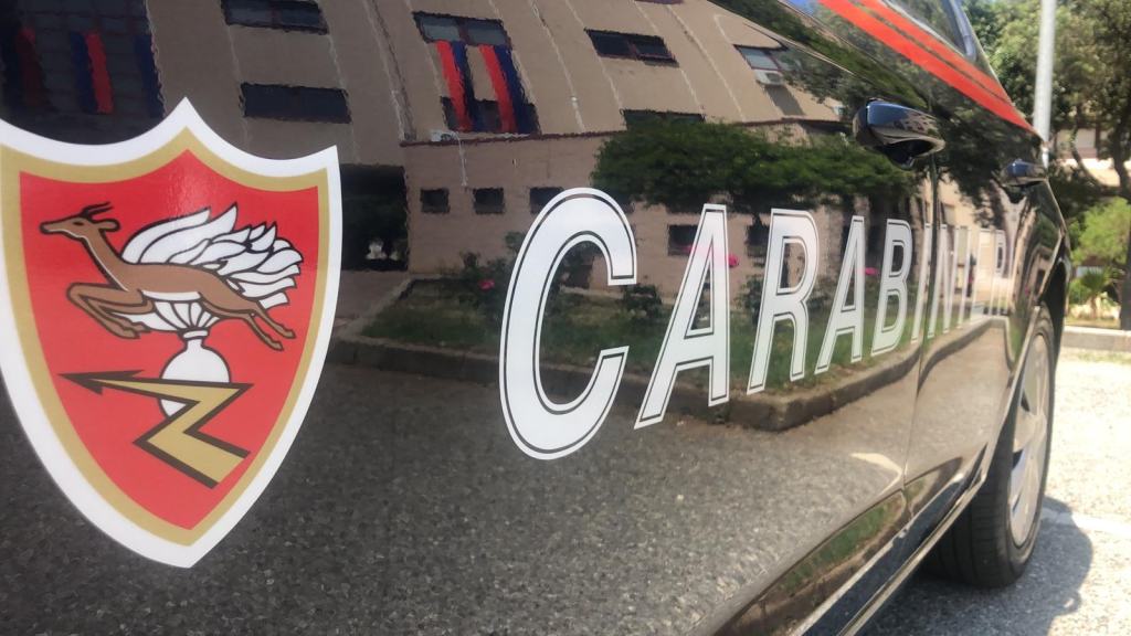 Calabria, rinvenuta piantagione di Canapa