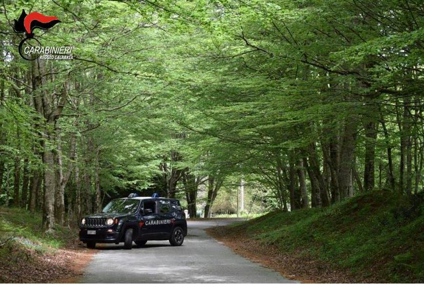Prova una moto e si da alla fuga: arrestato per furto in provincia di Reggio