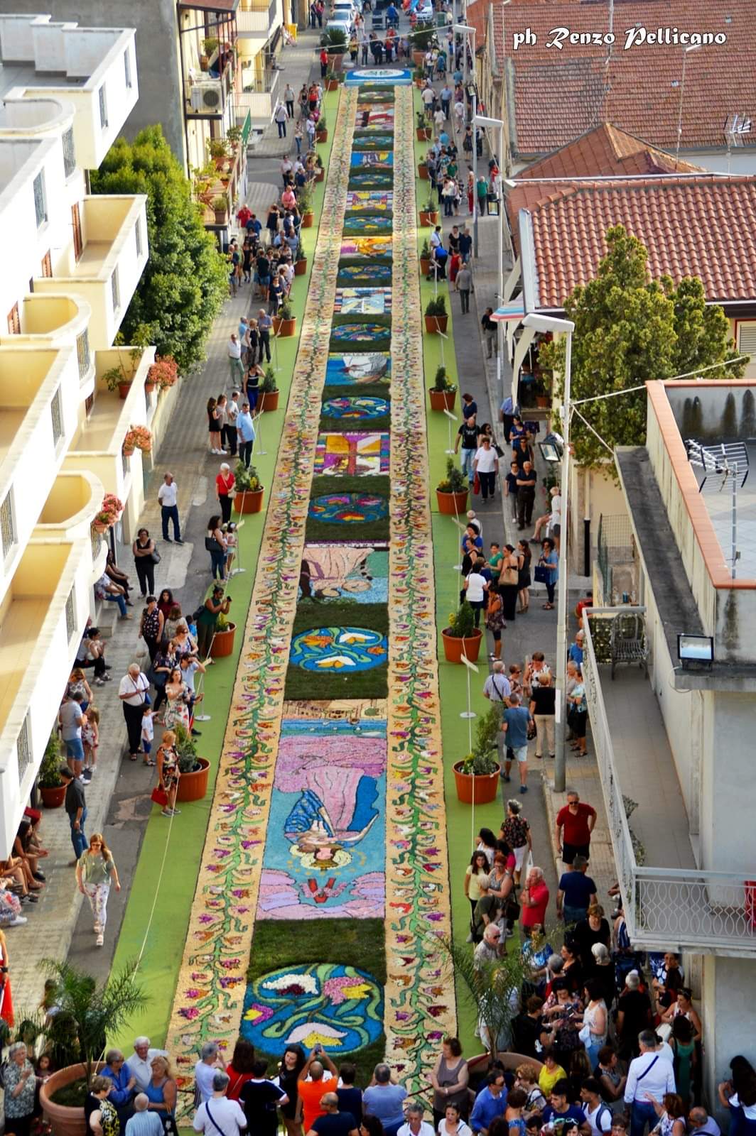 Infiorata Gallico Marina Ph Renzo Pellicano