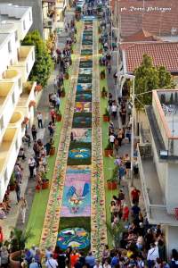 Infiorata Gallico Marina Ph Renzo Pellicano