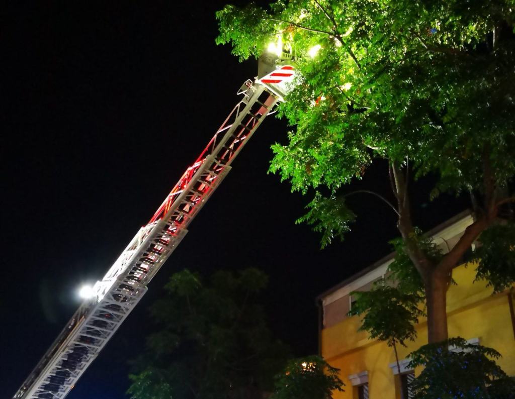 Reggio, Vigili del fuoco “amici degli animali”. La lettera di un cittadino