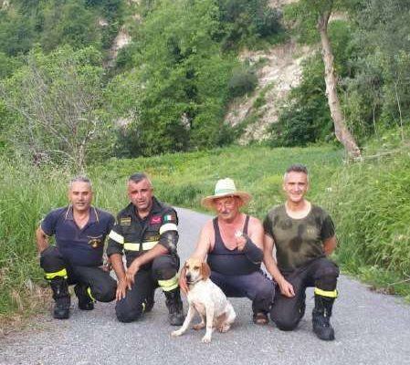Calabria – Cane cade in un dirupo: il salvataggio dei Vigili del Fuoco