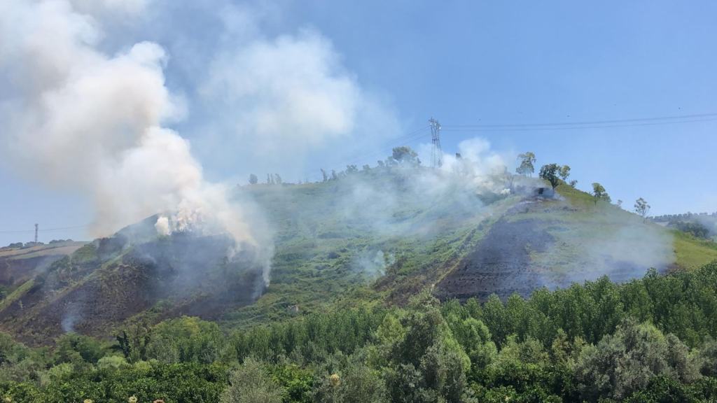 Autostrada del Mediterraneo: vasto incendio distrugge ettari di vegetazione