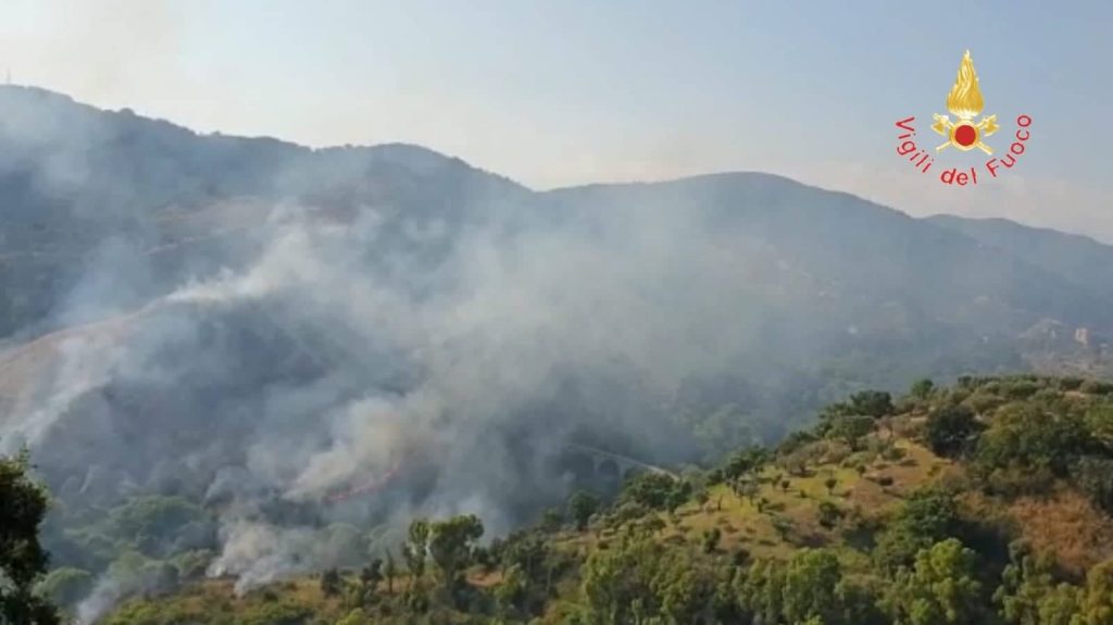 Vasto incendio al Parco della Biodiversità Mediterranea di Catanzaro
