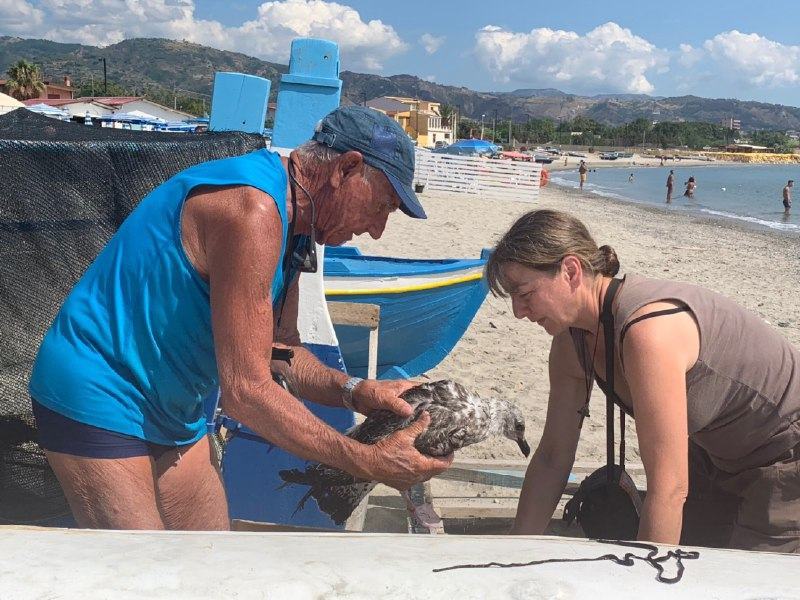 80enne reggino in barca a vela salva due volatili a largo dello Stretto – FOTO