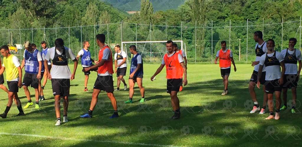 Coppa Italia: Reggina-Vicenza, la probabile formazione amaranto