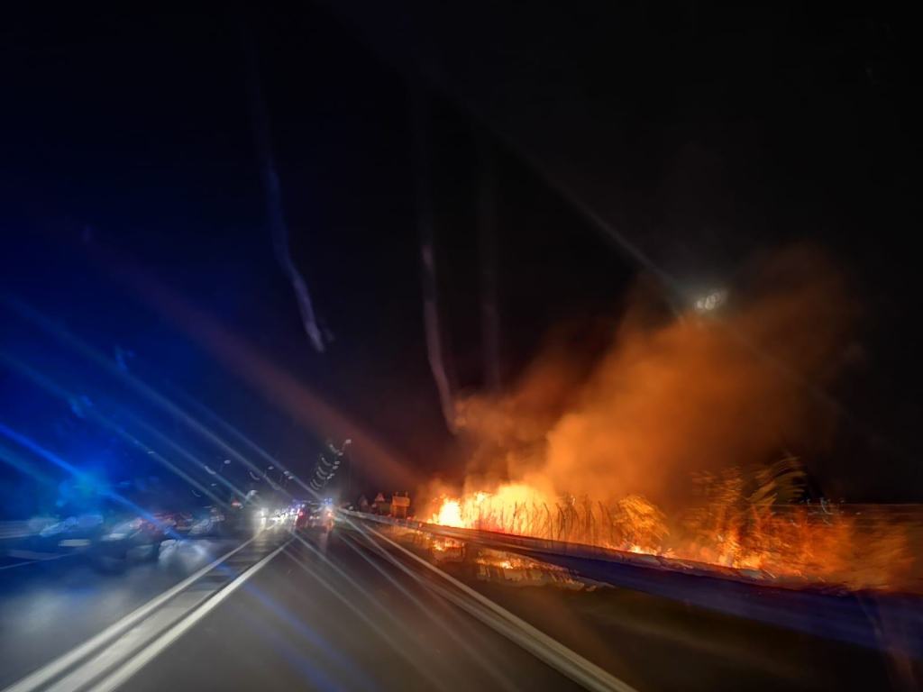 Vasto incendio sulla Statale 106: sul posto i vigili del fuoco