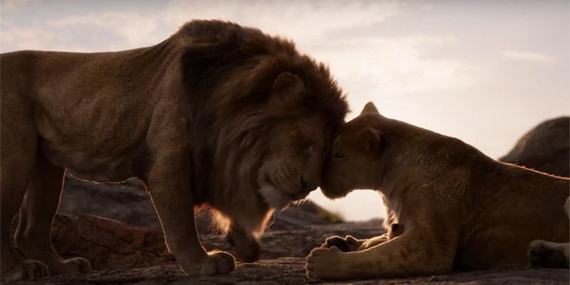 Lacrime e ricordi. Dopo 25 anni ‘Il Re leone’ torna al cinema