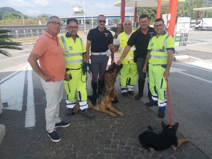 Anas, i cantonieri salvano tre cani sull’Autostrada del Mediterraneo – FOTO