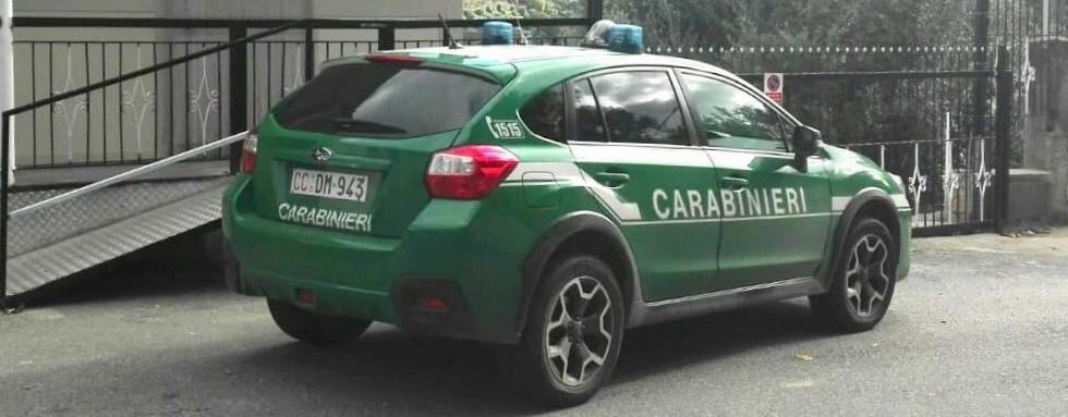 Abusivismo edilizio nel Parco Aspromonte: deferite due donne in provincia di Reggio