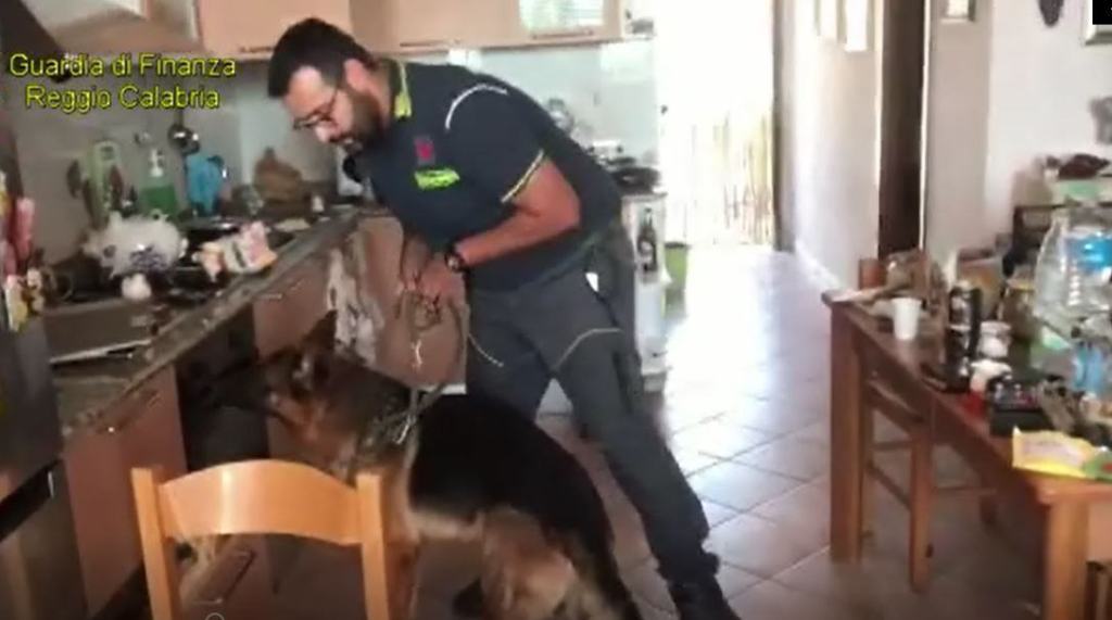 Producevano droghe nell’esercizio commerciale di famiglia: 2 arresti a Reggio Calabria