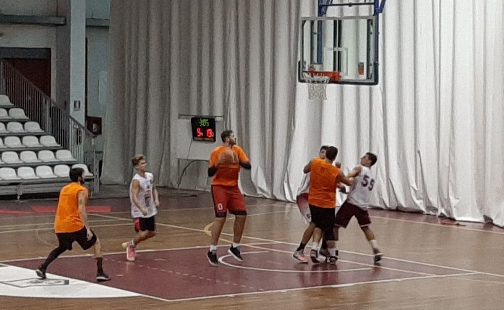 Basket – La Pallacanestro Viola si aggiudica l’intensa amichevole contro la Vis