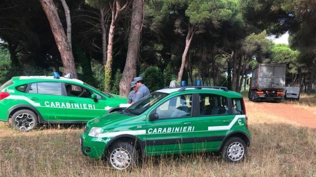 Traffico illecito di rifiuti, 11 arresti. Materiale seppellito in una cava dismessa in Calabria