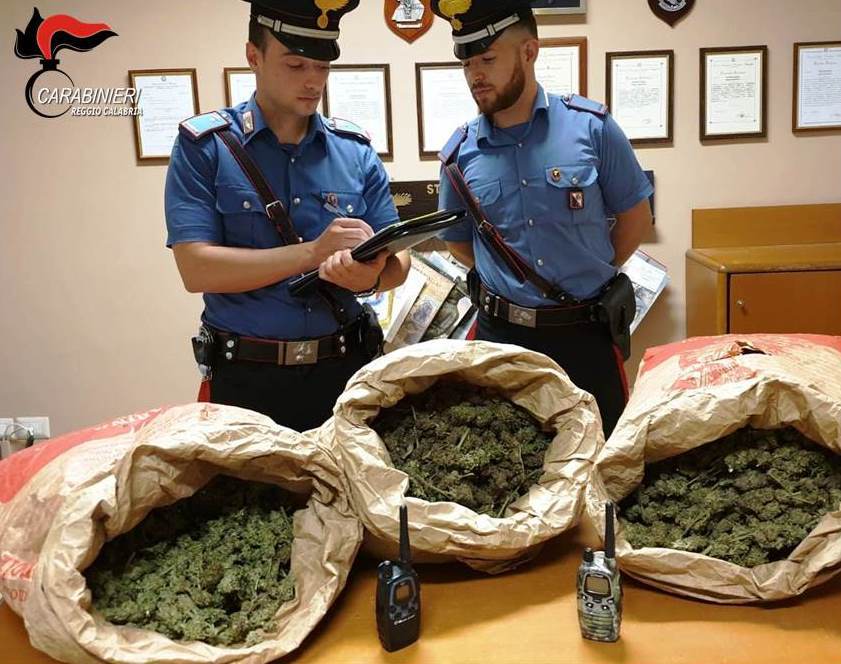 I Carabinieri li sorprendono con 9 kg di marijuana: 3 arresti in provincia di Reggio