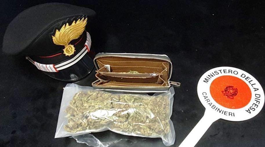 Reggio, arrestato un 23enne per spaccio di marijuana