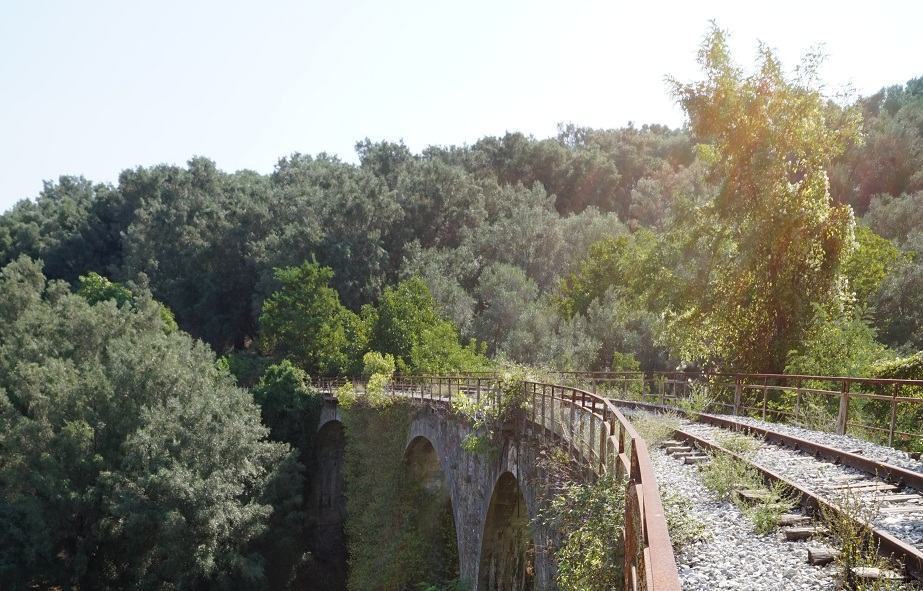 A Palmi la realizzazione di un percorso denominato “la Via degli Ulivi”